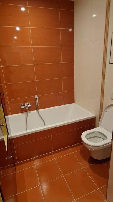 Apartment 164 M2 Flat With Underground Parking In Lux City Luxemburg
